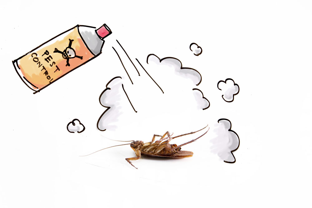 Pest Control Service